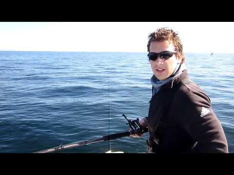 kabeljauw Spodsbjerg Denemarken