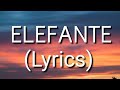 NK - ELEFANTE (Lyrics) •|