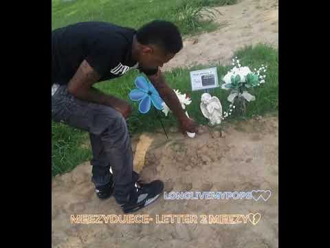 MEEZYDUCE- LETTER 2 MEEZY