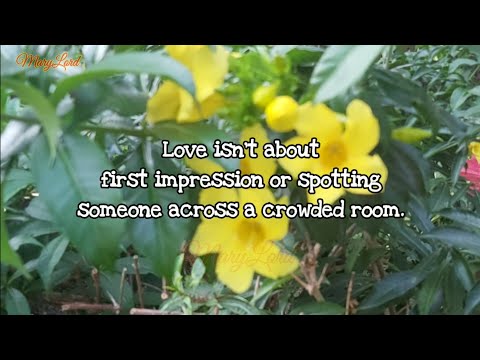 LOVE IS ALL WE NEED ❤