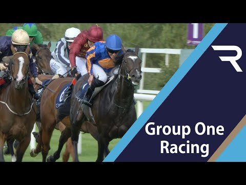 What an EXCITING finish in the 2020 Coolmore America 'Justify' Matron Stakes - Racing TV