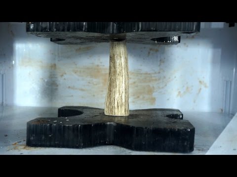 Tough Elk Antler Crushed With Hydraulic Press