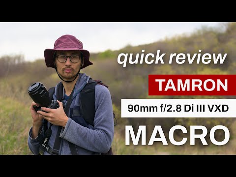 Video thumbnail for Video Review 3