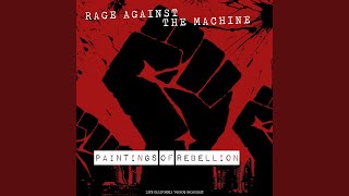 Year Of The Boomerang (Live)