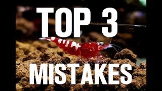 TOP 3 MISTAKES in SHRIMP KEEPING