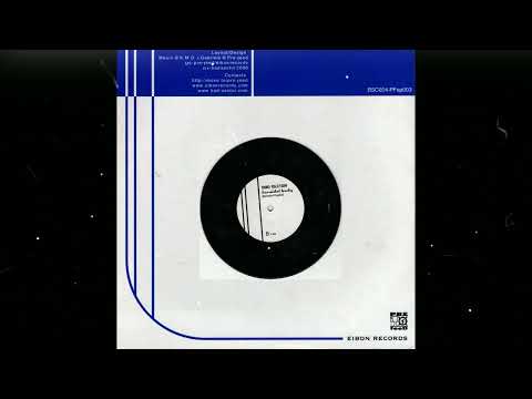 Bad Sector  - Toroidal Body (2000) [7" + CD-R]