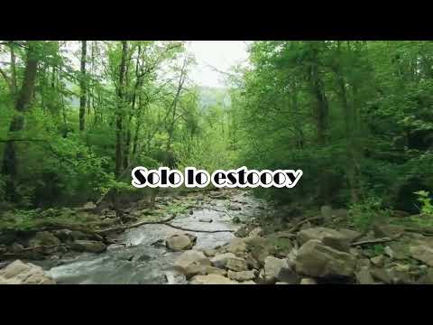 Solo no estoy-SAVING GRACE letras