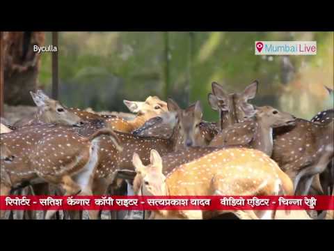 राणीच्या बागेचं अस्तित्व धोक्यात