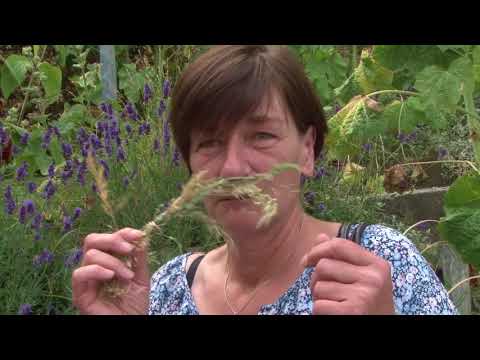 Hannes Jacob - Extraction of Pathological Information (EPI) - Empirical Study: Part 2