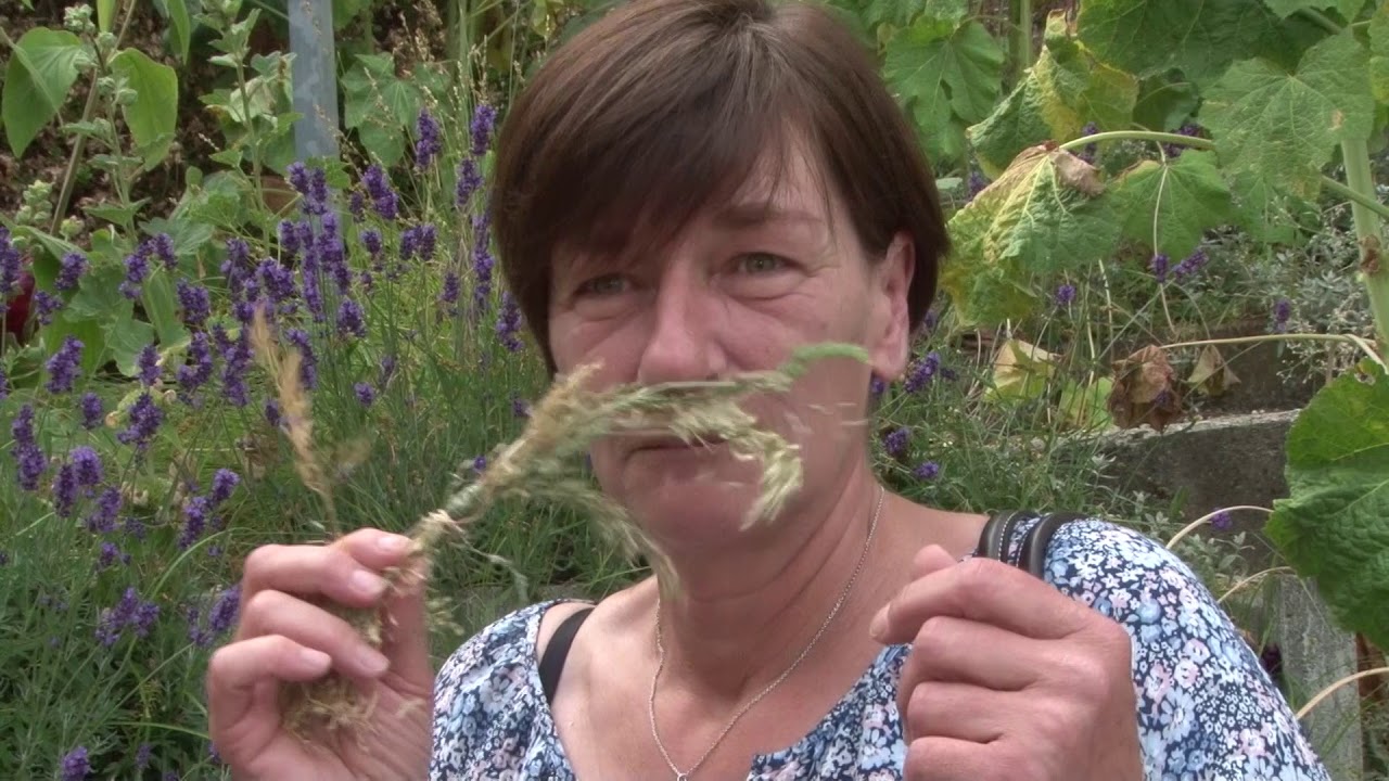 Hannes Jacob - Témoignages: EPI (Extraction d'Information Pathologique) - 2ème partie