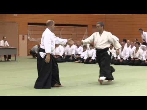 South Africa  - 11th International Aikido Federation Congress in Tokyo - Demonstrations