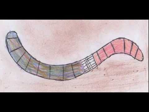 Come parassiti a occhiata di bambini Analisi di un lyambliya di igg positivo