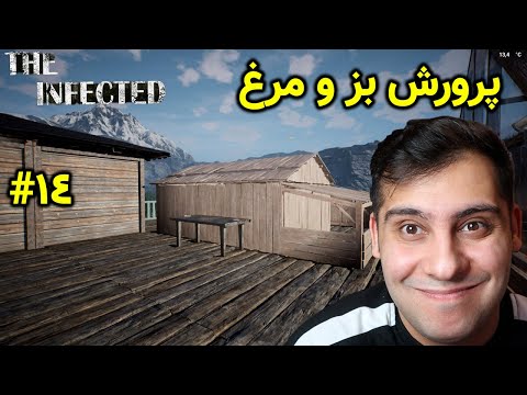 تولید شیر بز و تخم مرغ|the infected
