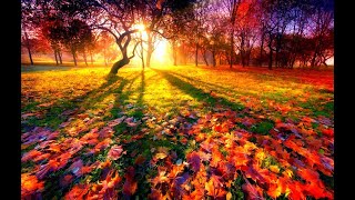 ✿ красивые картинки - фото про осень ☼ фото