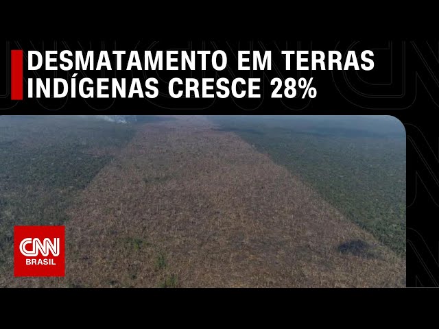 Desmatamento em terras indígenas cresce 28% nos quatro primeiros meses de 2023 | LIVE CNN