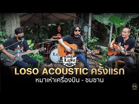 หมาเห่าเครื่องบิน • ซมซาน | LOSO Acoustic