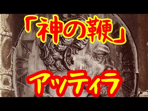 亜種 M. lamberti lamberti のオス、繁殖羽状態