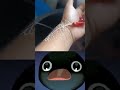 Noot Noot Meme Pingu Noot Noot Shorts Noot Pingu Tiktok El Video No Es Mío