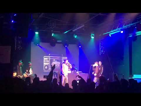 HYDRA vs BRUNO BUG - TPO BOLOGNA