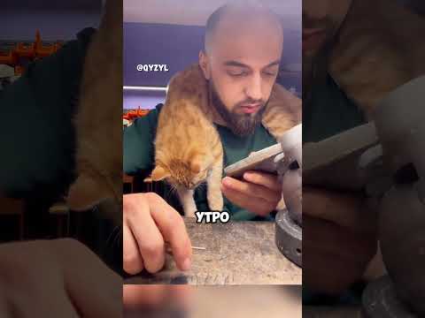 Ювелир из Дагестана и его кот покорили интернет
