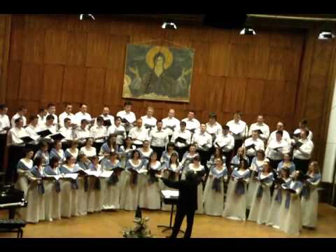 хор Абрашевић - Плава гробница