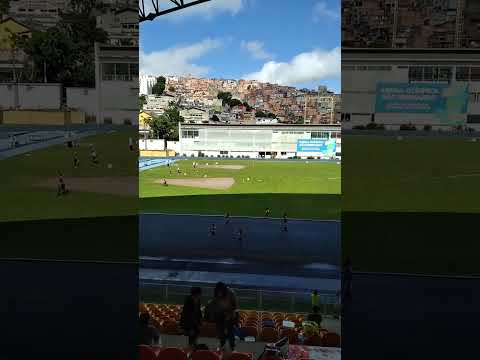 Final 100m BF - SEINAN 2023