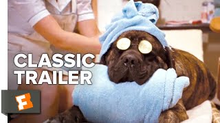 Hotel for Dogs (2009) Trailer #1  Movieclips Class