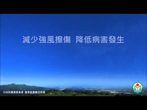 友善生態之果樹猴害防範技術 (下集)