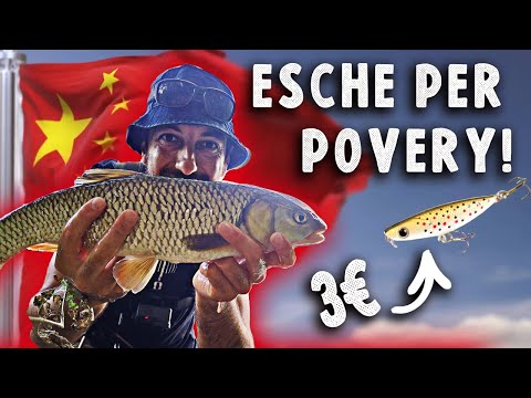 Fishing on a shoestring - Testing Chinese baits for you!