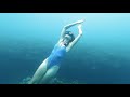 OCTOPUS Trip