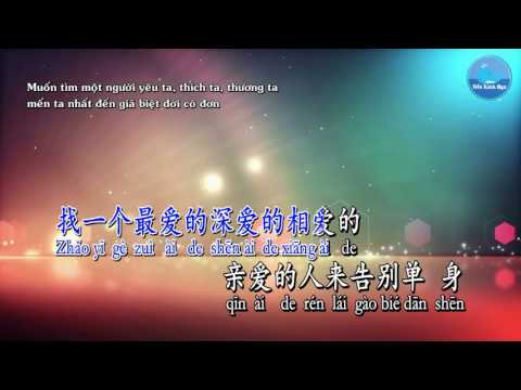 Tình Ca Đơn Côi - Lâm Chí Huyền (Karaoke)