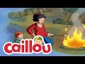 Caillou A Camping We Will Go Cartoon For Kids