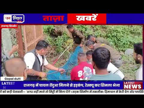 Rajgarh में घायल Leopard मिला, Forest Department ने किया Rescue