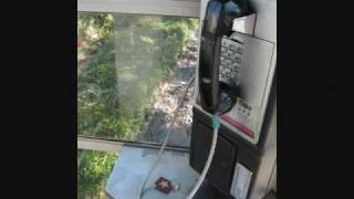 You can have a cell phone...