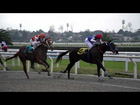 210725 c02 JEREZ HONOUR