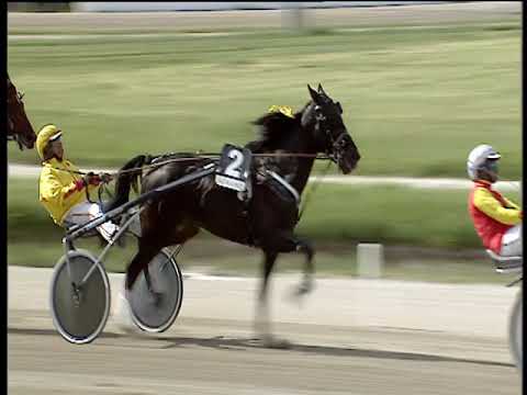 Trotto 06/06/2019 - 5ª corsa