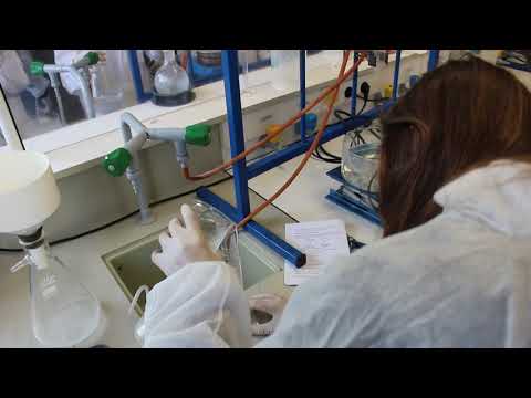 Les élèves sont devenus de vrais scientifiques - 1