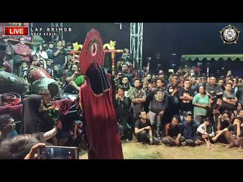 Yang terbaru dari bajang geleng geleng ROGO SAMBOYO PUTRO