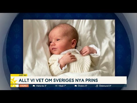 Julian Herbert Folke är Sveriges nya prins – det här vet vi - Nyhetsmorgon (TV4)