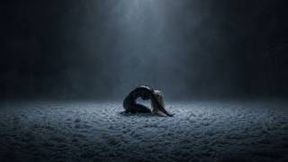 Crawl - In This Moment