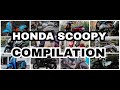 HONDA SCOOPY COMPILATION