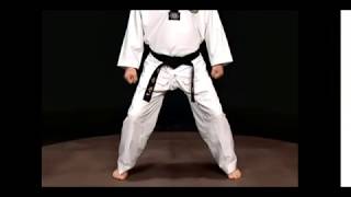 How to do a Horse Stance (Juchum Seogi)