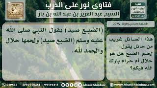 صورة 2275 - حكم أكل الضبع - نور على الدرب