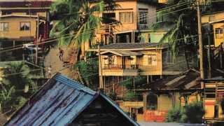 Day You Were Born / / frances england