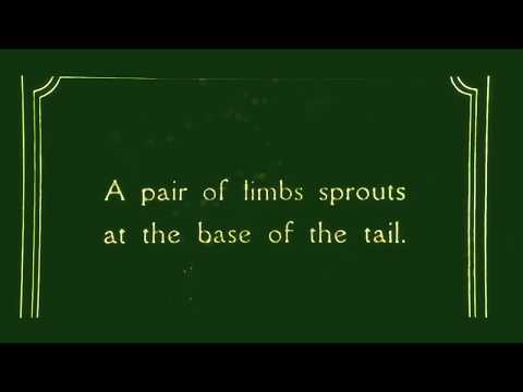 The Friendly Frogs Freak Show - Let's Get Cookin' (Official Video)