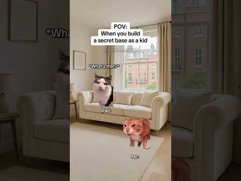 CAT MEMES 🐱When you build a secret base as a kid #catmemes #relatable #relationship