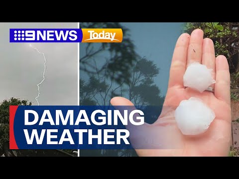 Wild weather damages Queensland with Brisbane battered by hail and thunderstorms | 9 News Australia
