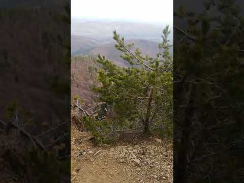 Belvedere de pe traseul spre cabana Cozia