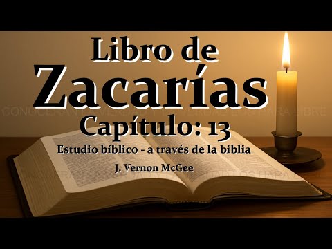 ZECHARIAH 13 (MINOR PROPHETS) - THROUGH THE BIBLE - audio bible - Bible study