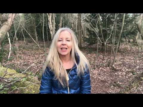 Activating Joy - Light Language